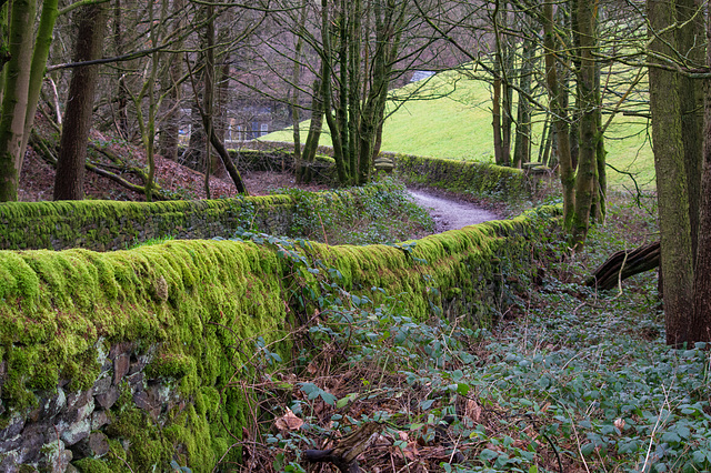 Green Lane to Swinewshaw Reservoir