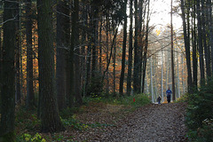 Dutch mountains