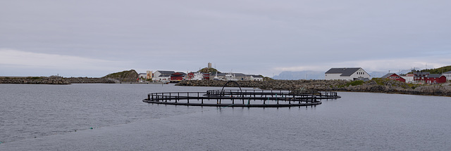 Lofoten - Langoya