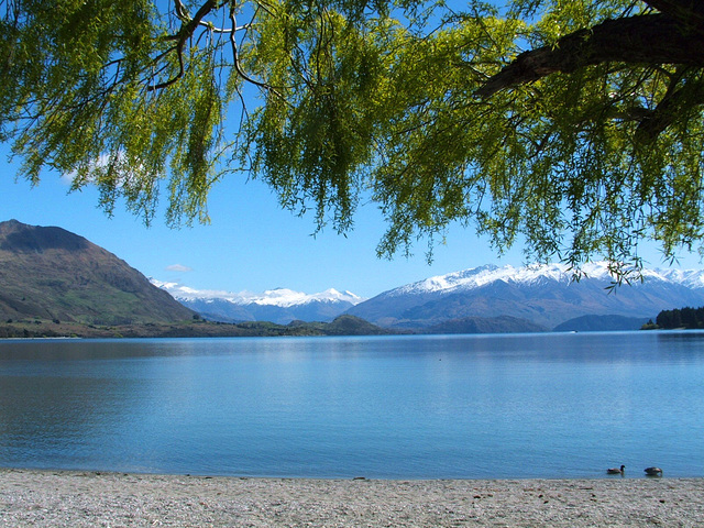 Lake Wanaka