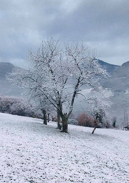 Ce matin en Chartreuse