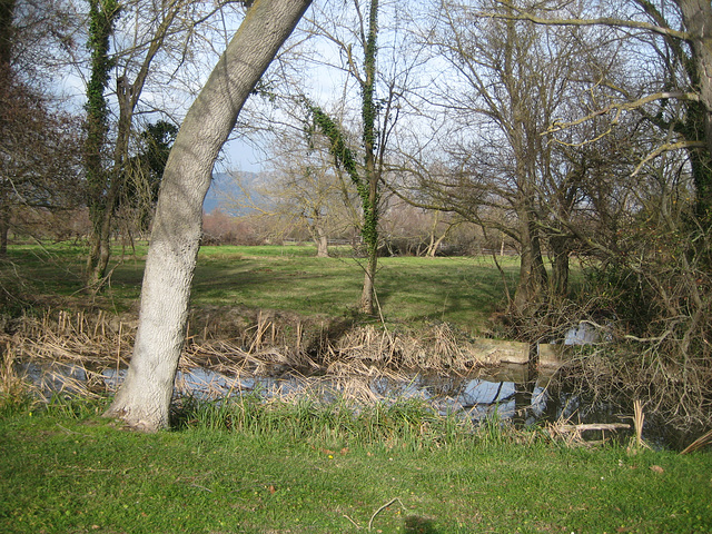 Naturpark Aiguamolls