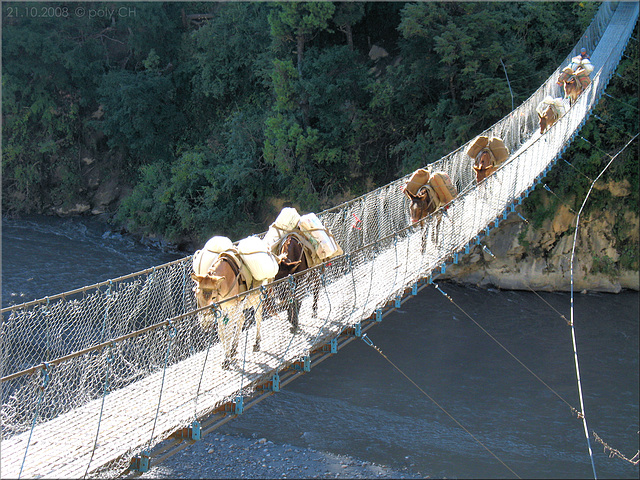 suspension bridge in Ghasa