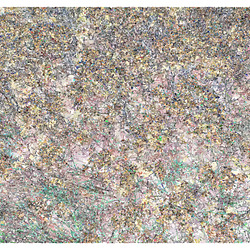 IMG 8289 01 03 01 01 02