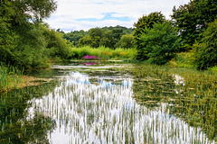 Sizergh Castle & Grounds
