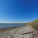 Naturschutzgebiet im Neuen Rhein Delta (© Buelipix)