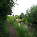 The Staffs and Worcs Canal near Ashwood Nursery