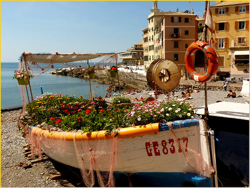 Boccadasse : Il gozzo ligure fiorito -