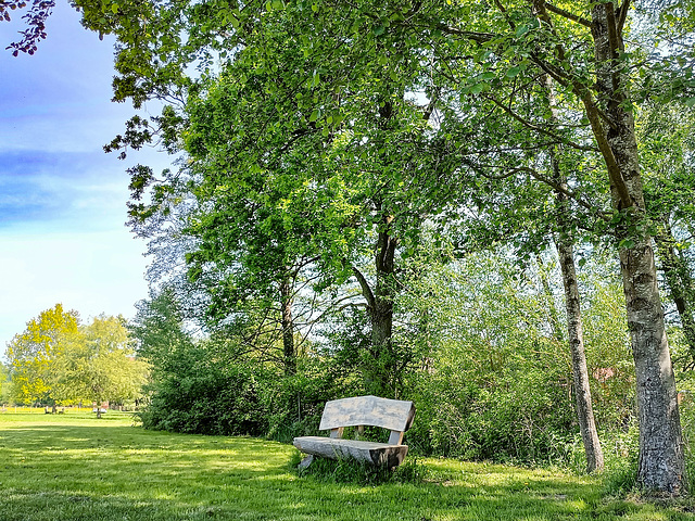 ein Platz im Grünen