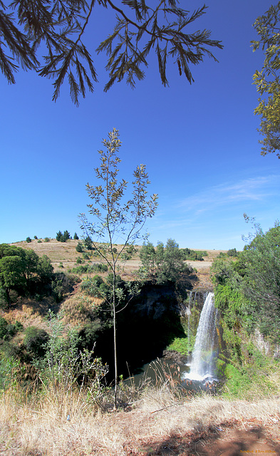 Salto del Quino