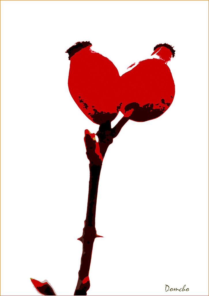 Vitaminé