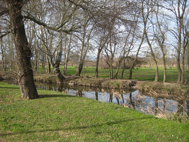 Naturpark Aiguamolls