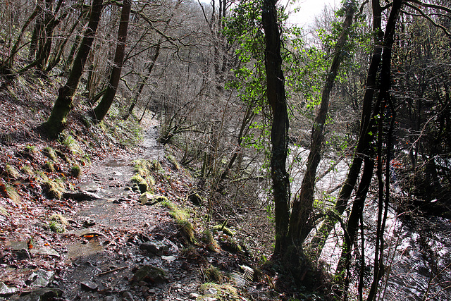 Neath Valley Waterfalls