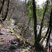 Neath Valley Waterfalls