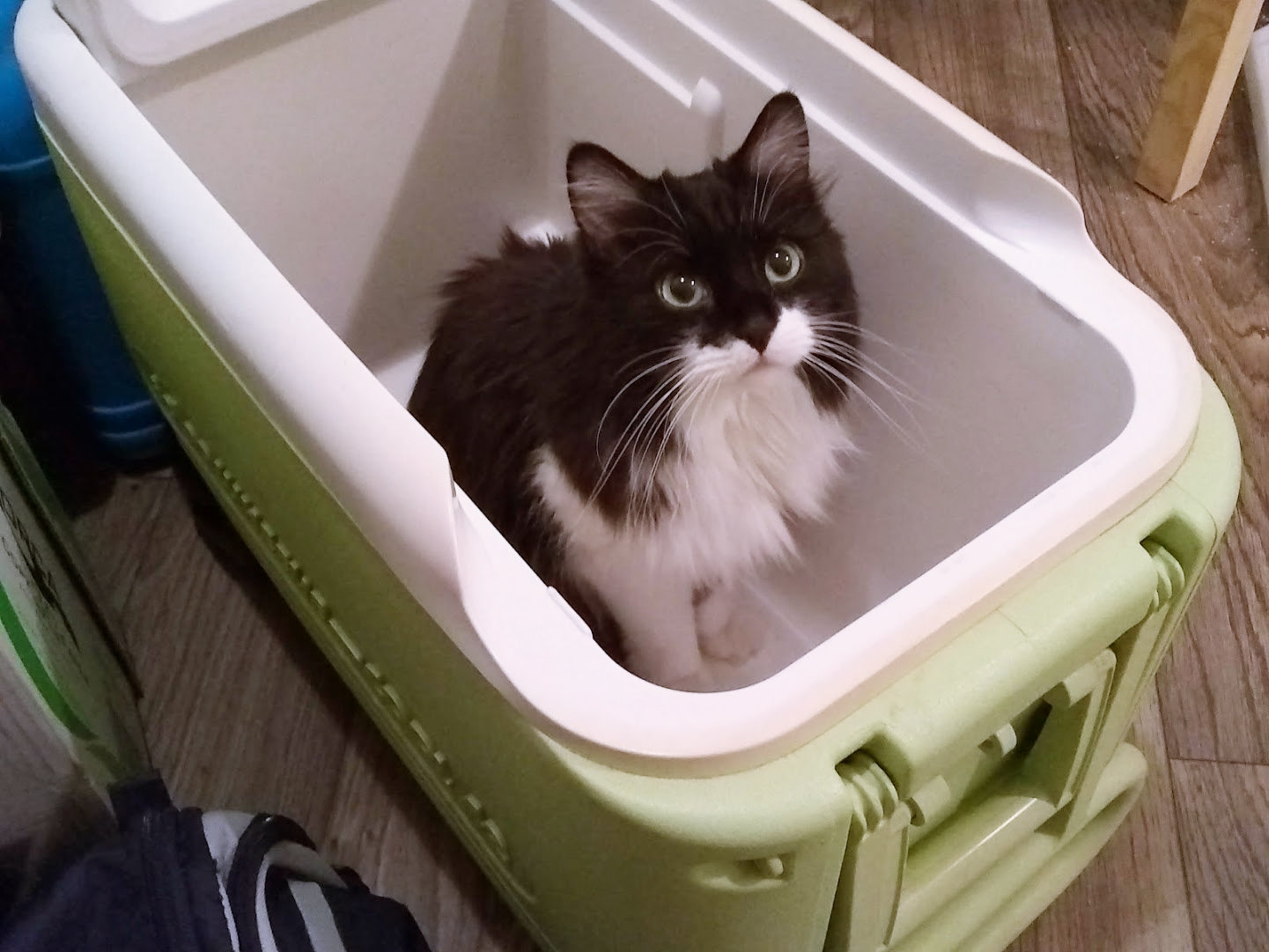 "I'm comin' with you, dad."