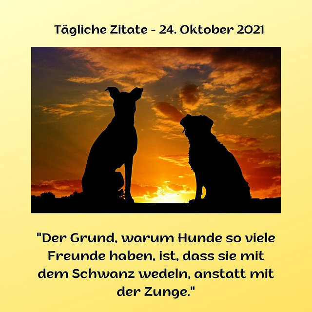 Tägliche Zitate - 24. Oktober 2021