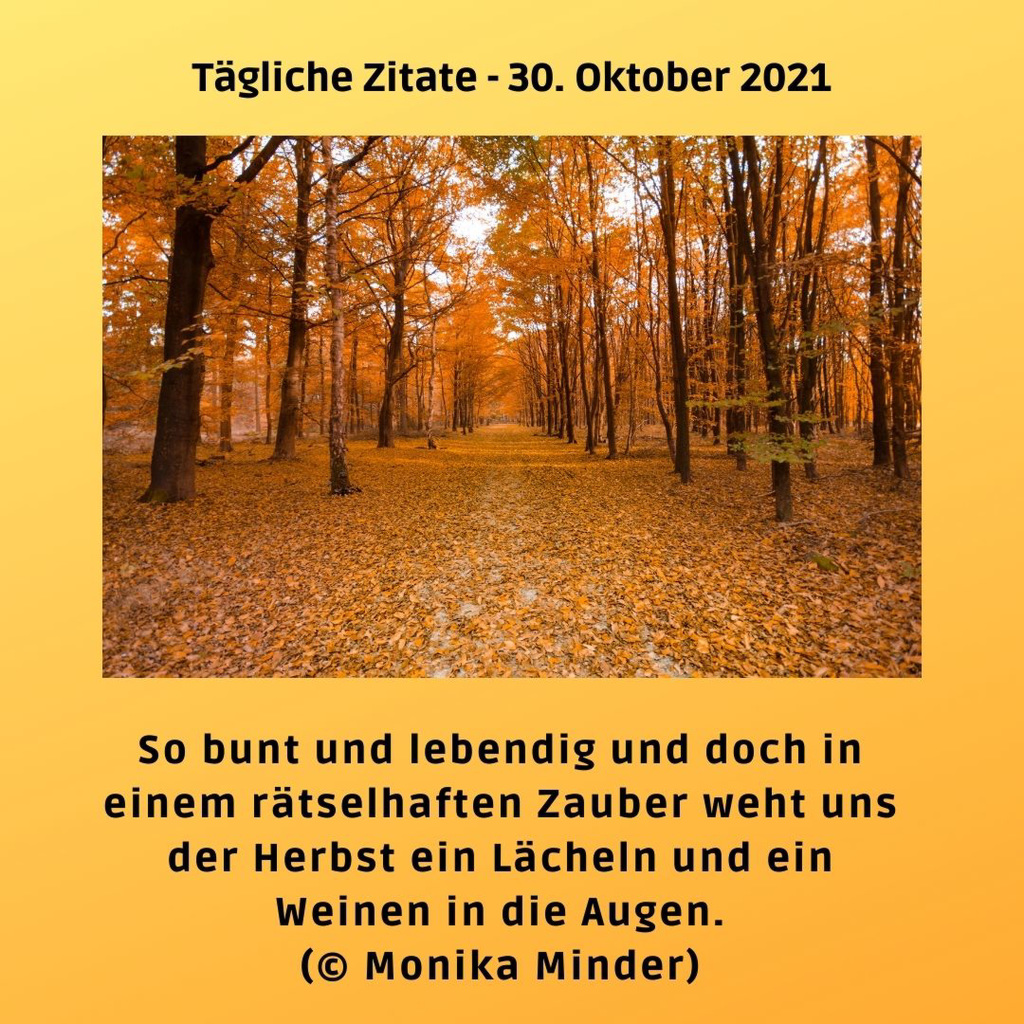 Tägliche Zitate - 30. Oktober 2021