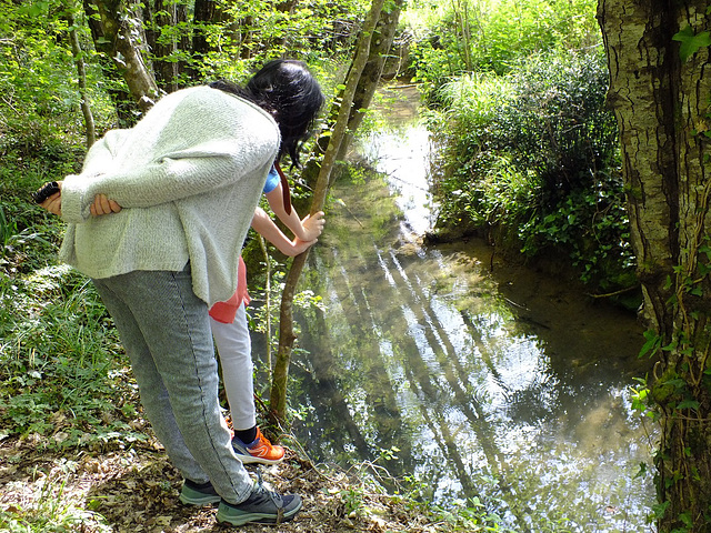 "OH, les petits poissons !"