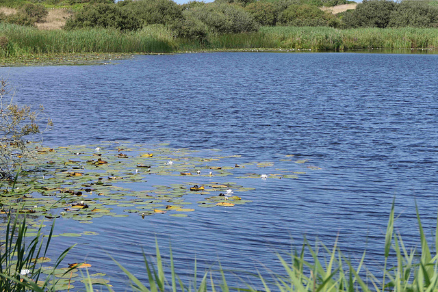 Llyn Cerrig Bach