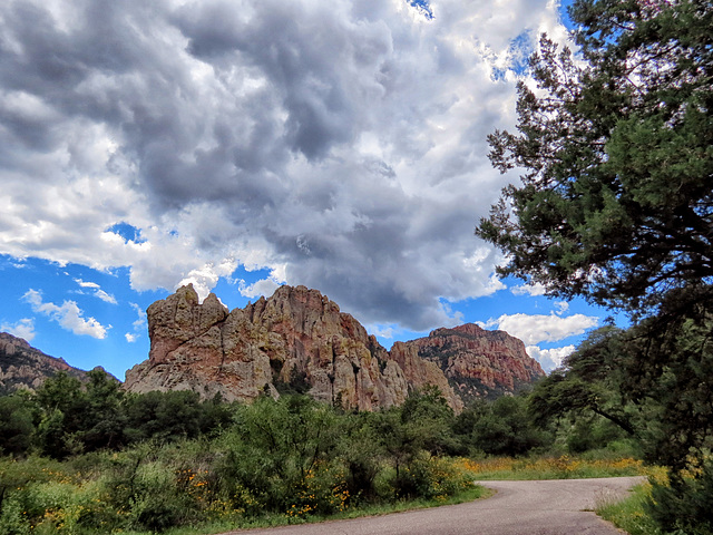 Cave Creek Canyon