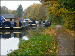 College boats in autumn