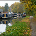 College boats in autumn