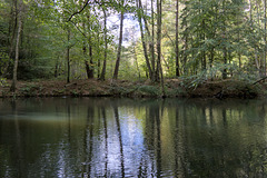IMG 4421