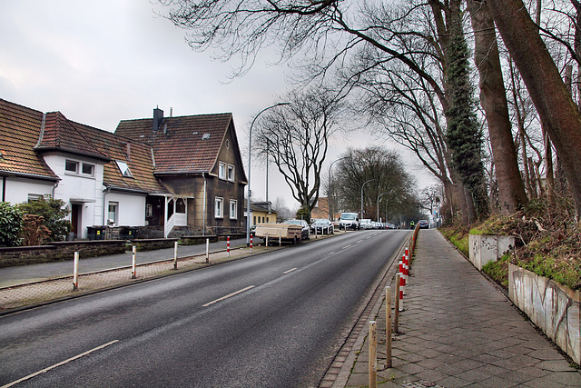 Wallbaumweg (Bochum-Langendreer) / 11.02.2023