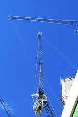 cranes on london wall