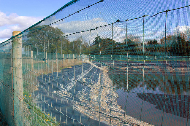 Lagoon fence.  HFF 19th May 2017