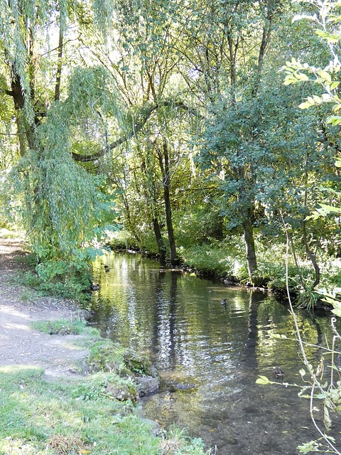 kleiner Flusslauf