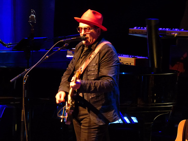 Elvis Costello