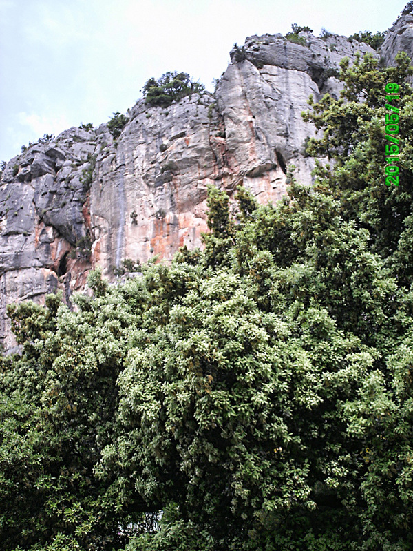 20150519 0100PSw [F] Grotte des Demoiselles [Ganges]