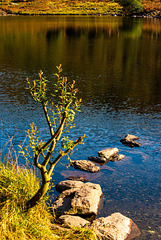 Llyn Dinas