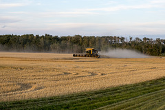 Harvest in Alberta