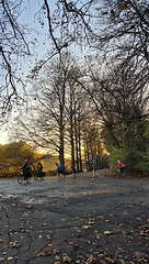 A walk in the park A walk in the park