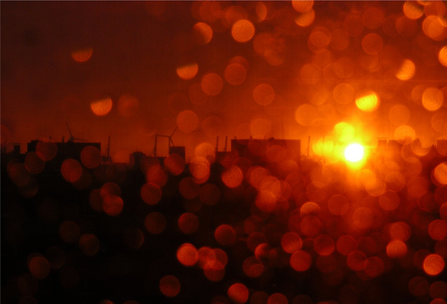 Sonnenuntergang durch das verregnete Fliegengitter