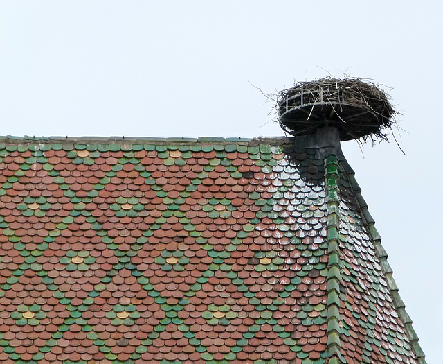 Storchennest auf Kirchendach