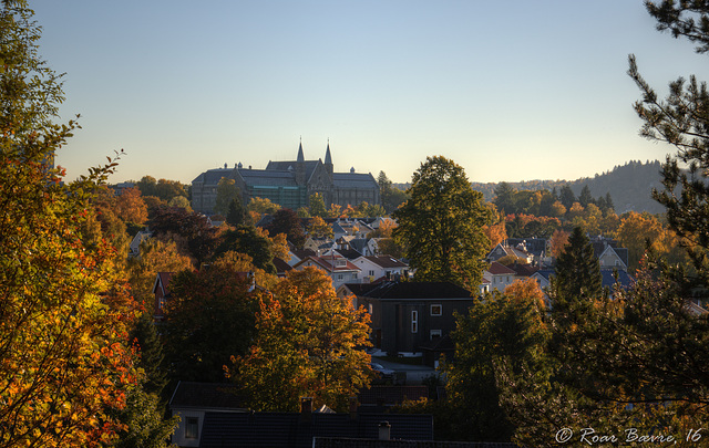 Autumn in Trondheim.