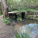 Pont dans la forêt