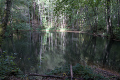 IMG 4423