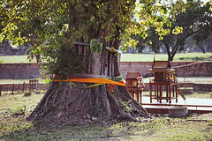 Tree deco