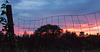 Fence, sunset, Hudson 2