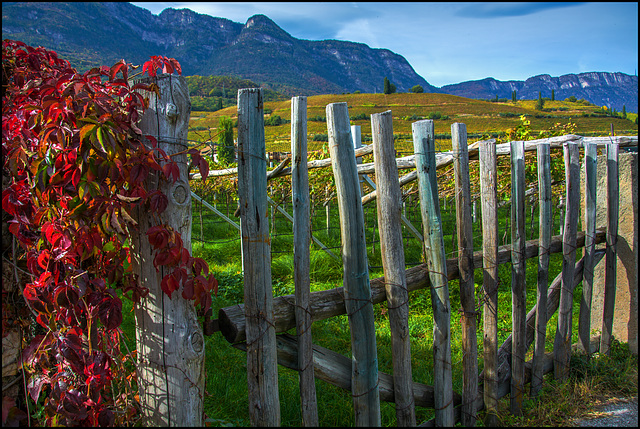 Strada del Vino - HFF