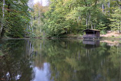 IMG 4424 IMG 4424