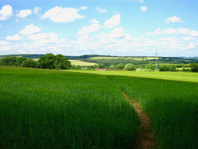 Footpath leading to Holloway House