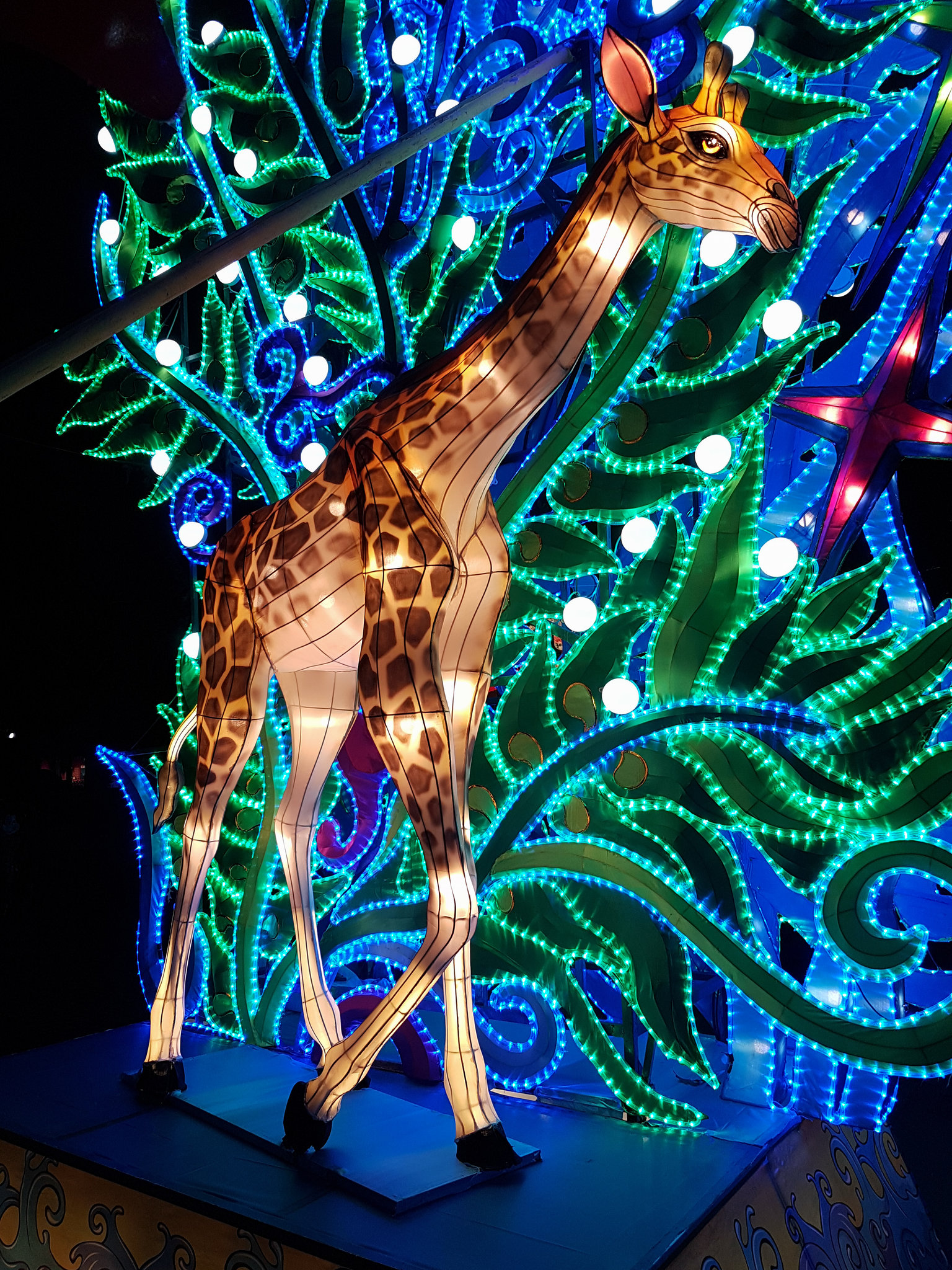 Kölner Zoo - China Light Festival