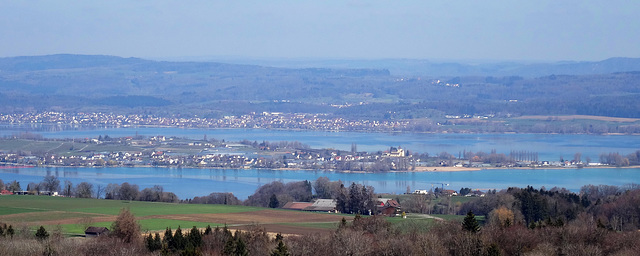 The largest island in Lake Constance