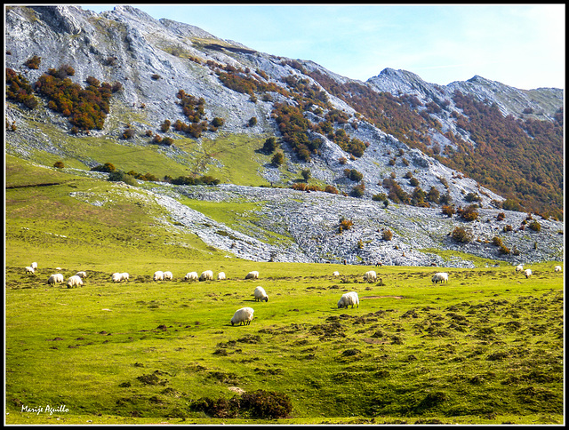 Campa de Urbia