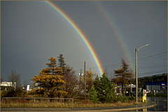 Everyone noticed Everyone noticed